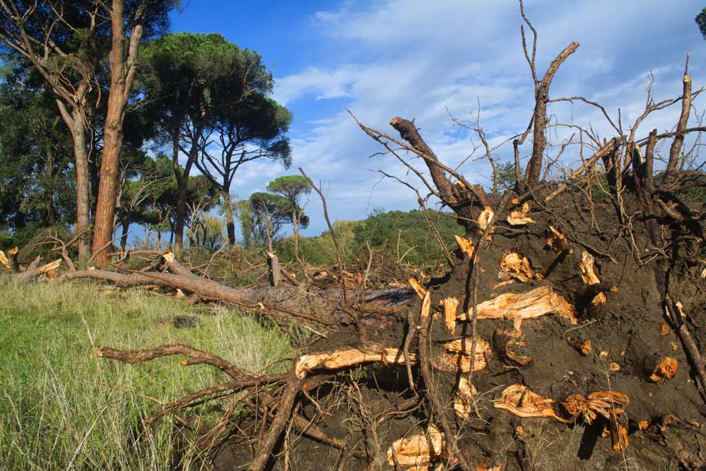 La paura della natura